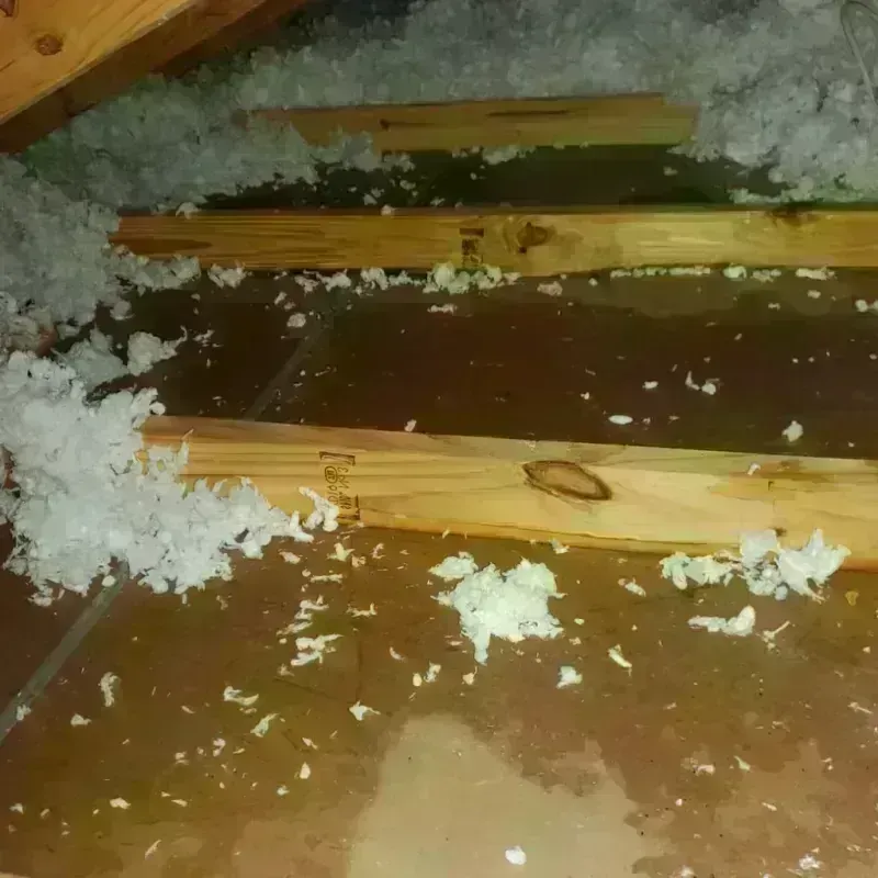 Attic Water Damage in Lamar, MO