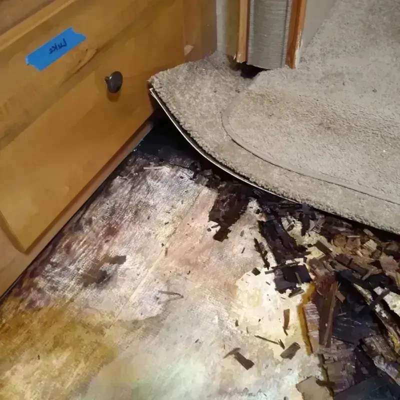 Wood Floor Water Damage in Lamar, MO